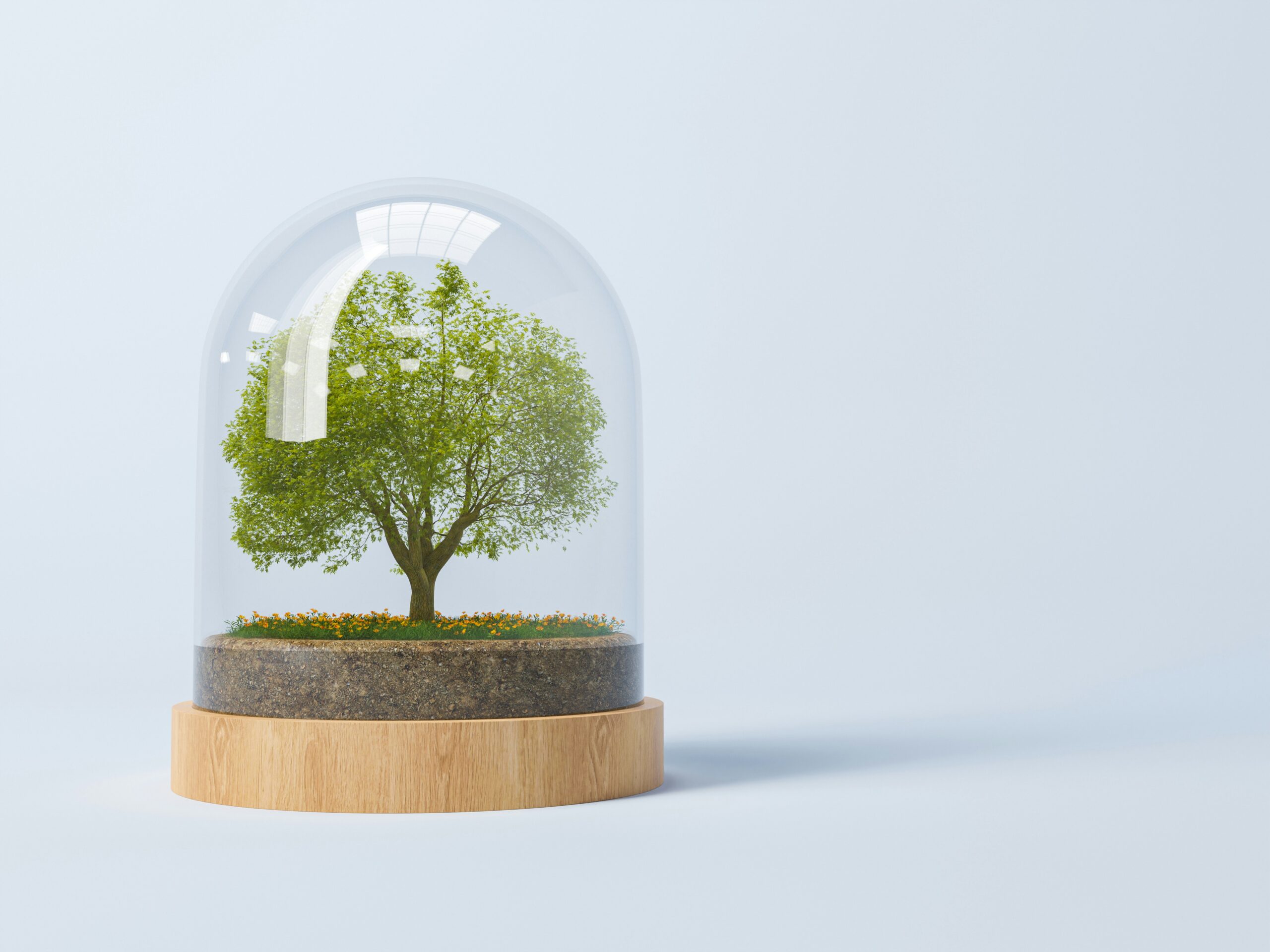 Fejlődő kód: IT ökoszisztémák építése szoftverek helyett